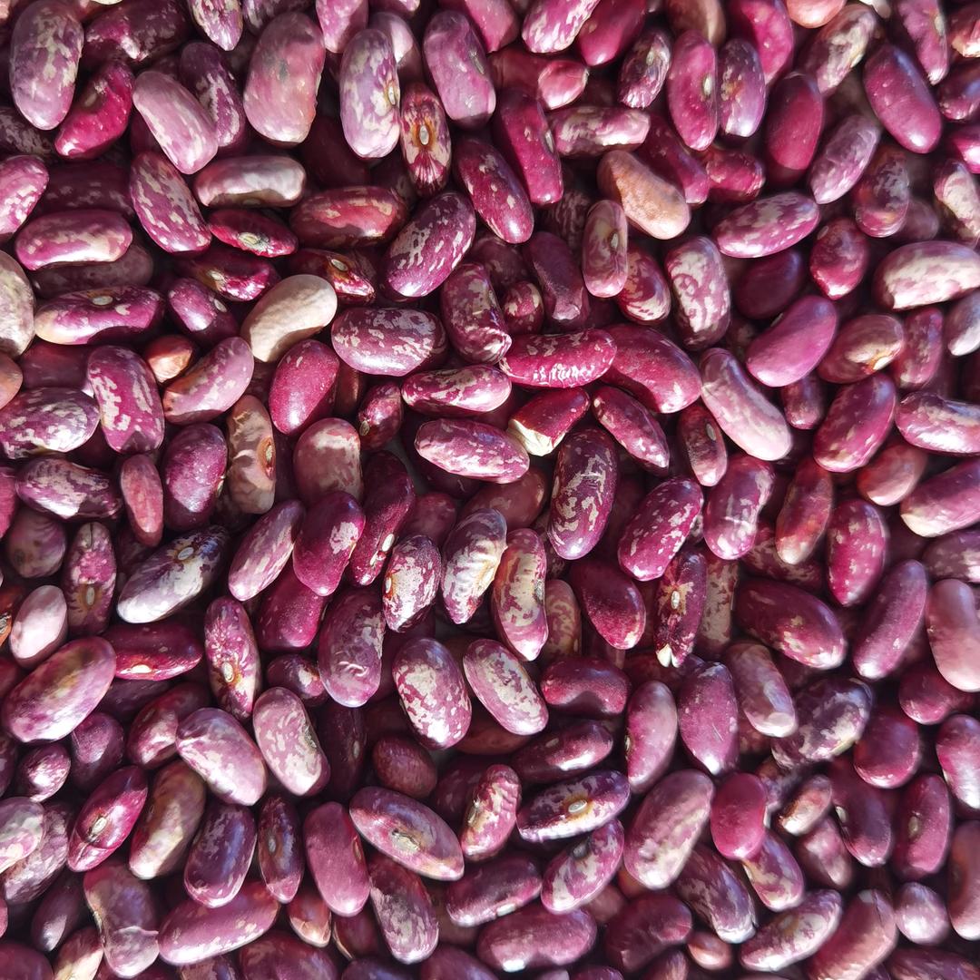 用户1476920522106？商道酬信