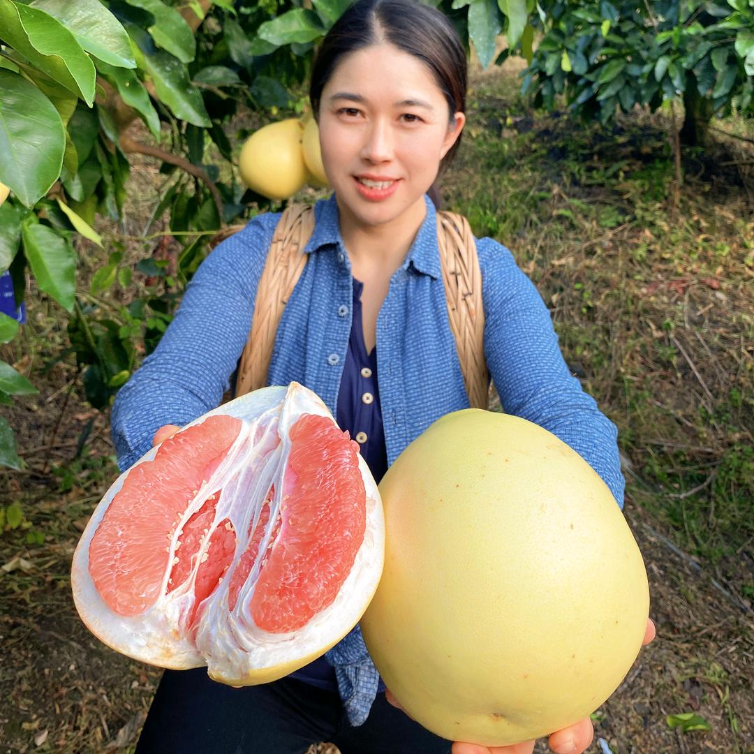 村品
