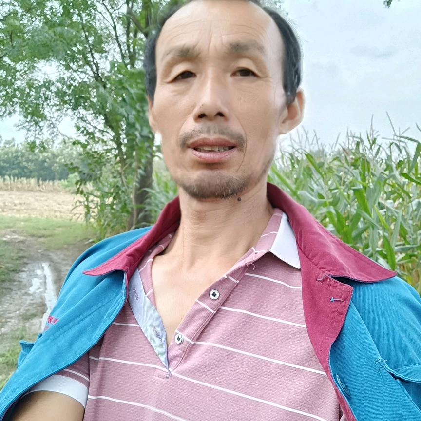 王显敏