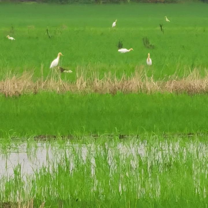 上善若水9527