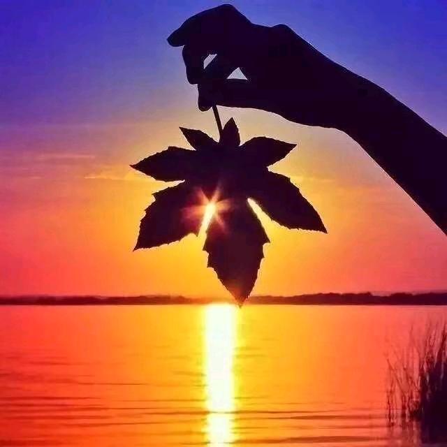 健康是福（拒私聊）