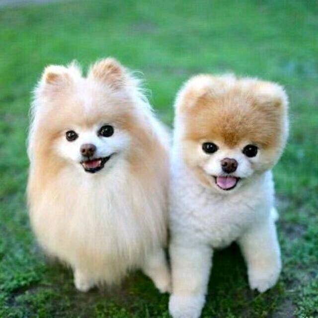 順其自然，花開無聲