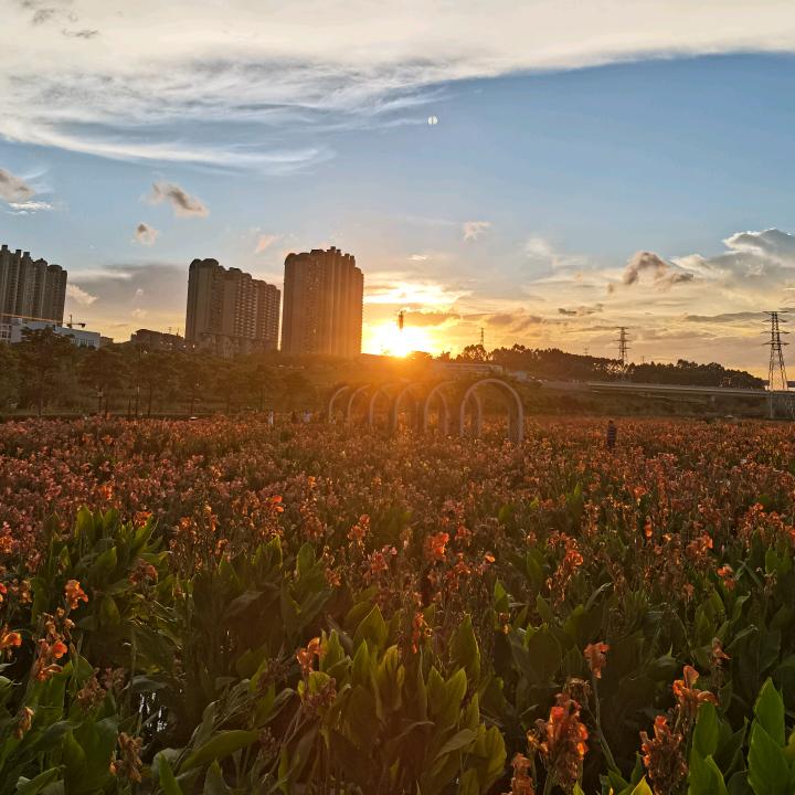 不懂取啥名