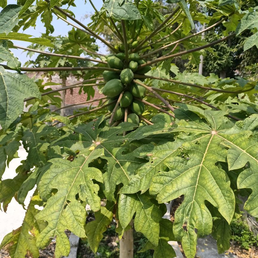 行者～知天下～