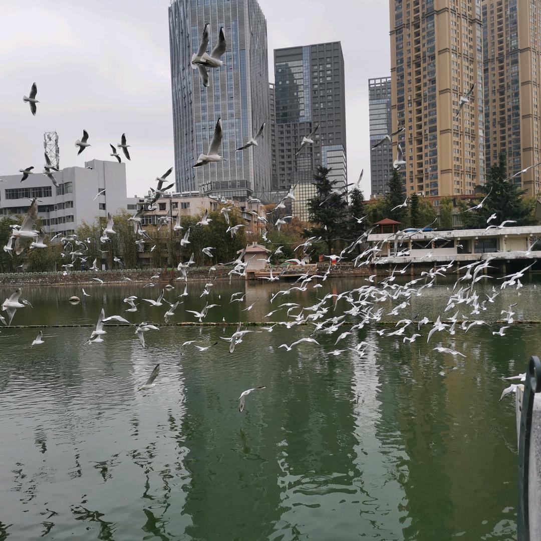太阳光（拒绝私聊）
