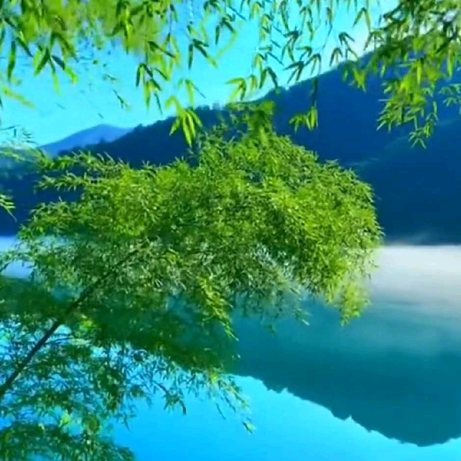 绿城超市阳光花园店赵