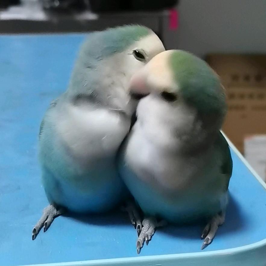 啊（ni在哪我看不见）