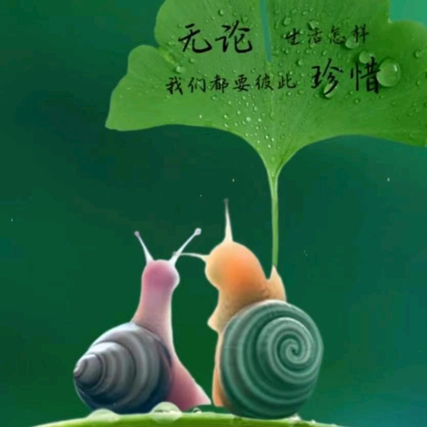 郑@