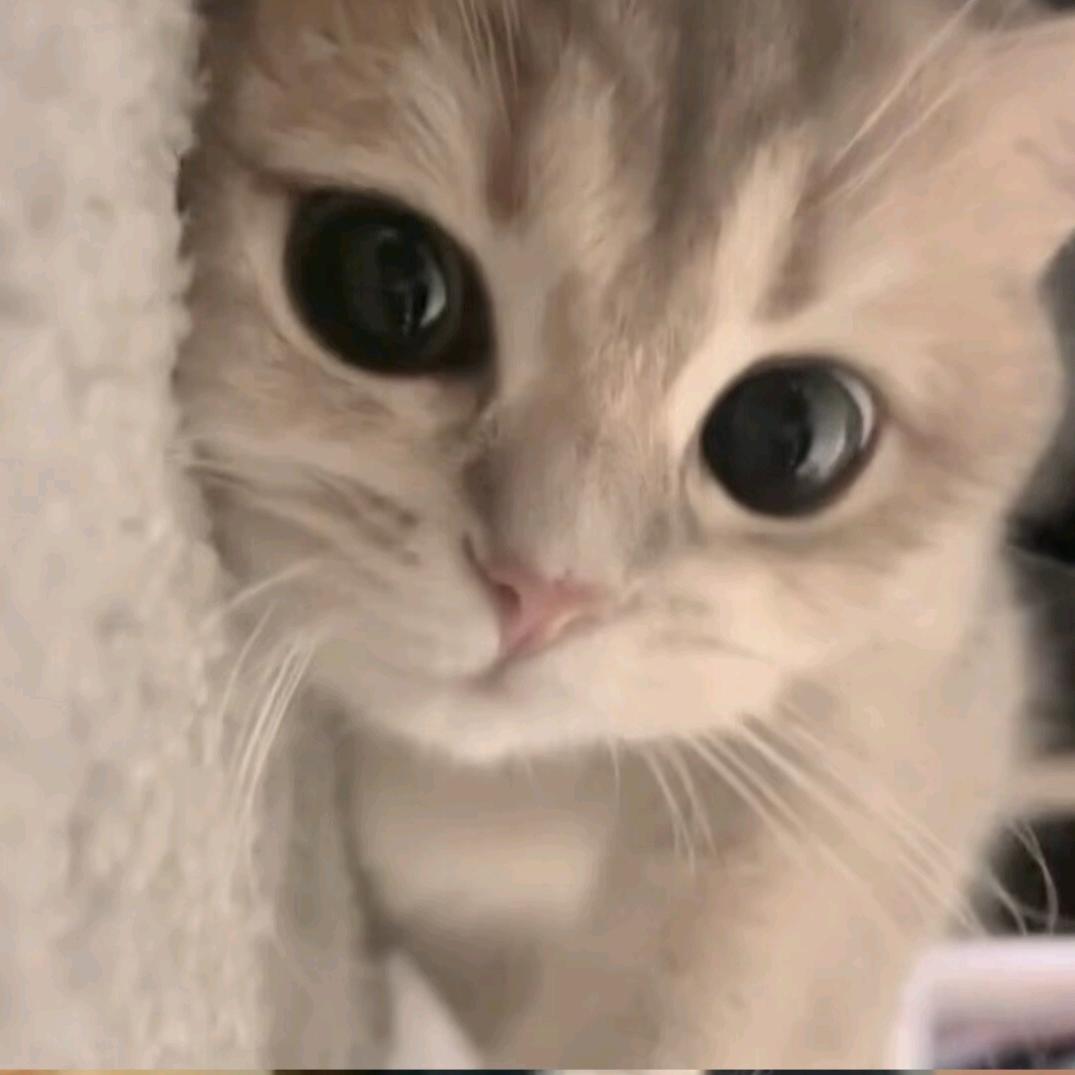 我不喜欢海和浪