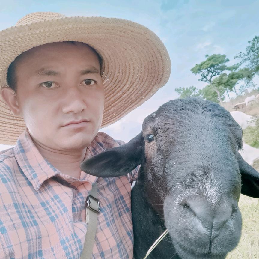 牧羊人888888