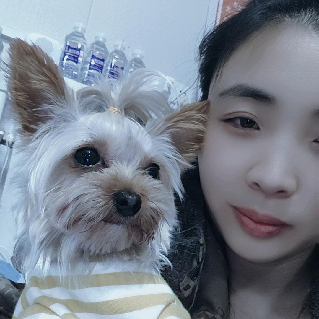 哈妮宠物店～727