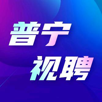 普宁天辰视聘