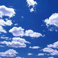 鸿远汽贸～谢秀凤