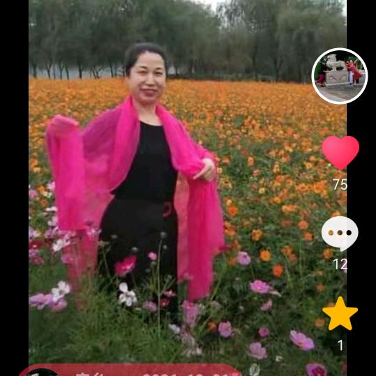 状元华府大雅成人舞蹈！向姐舞蹈工作室