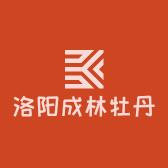 洛阳成林牡丹芍药基地直发