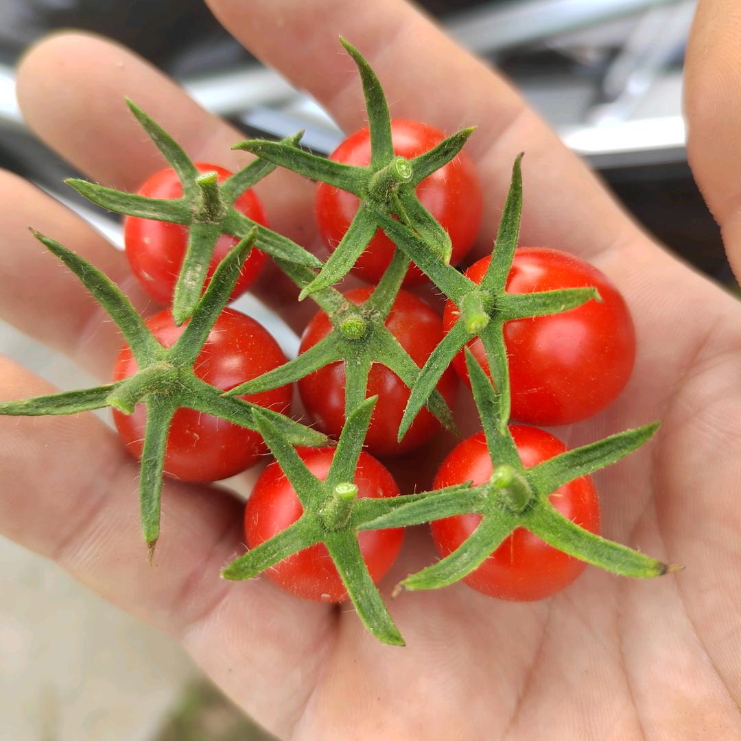 滑县慈周寨镇佳源冷库农民专业合作社