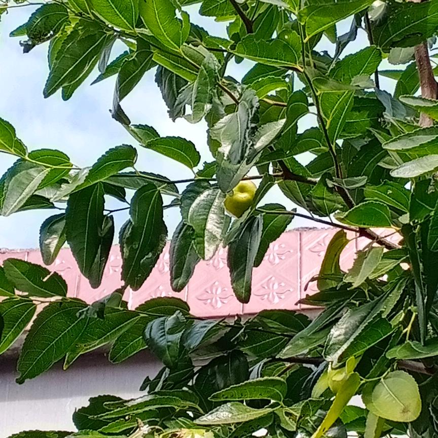 往事清零爱恨随意