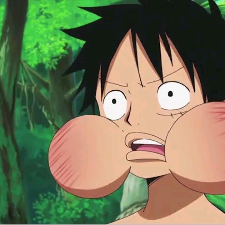 呆呆的呆呆额