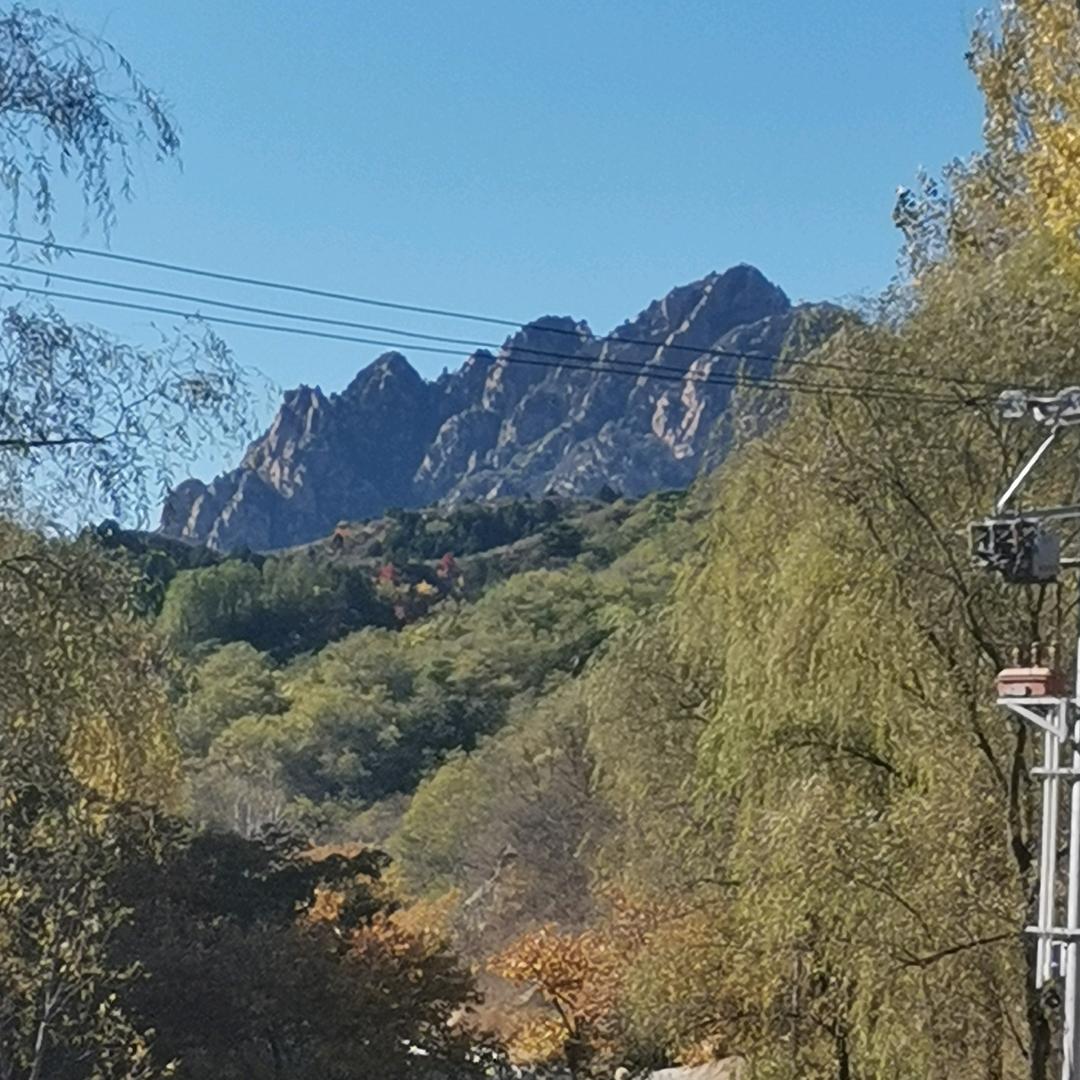 边庄子村李文华