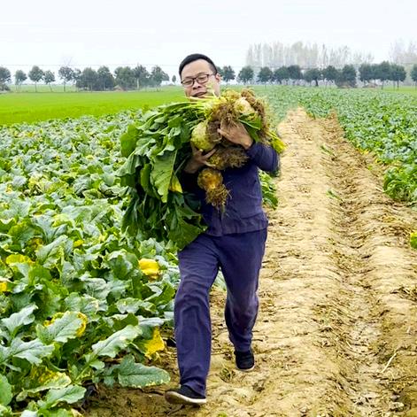 豫乡明月