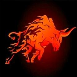 志志（拒绝私聊）