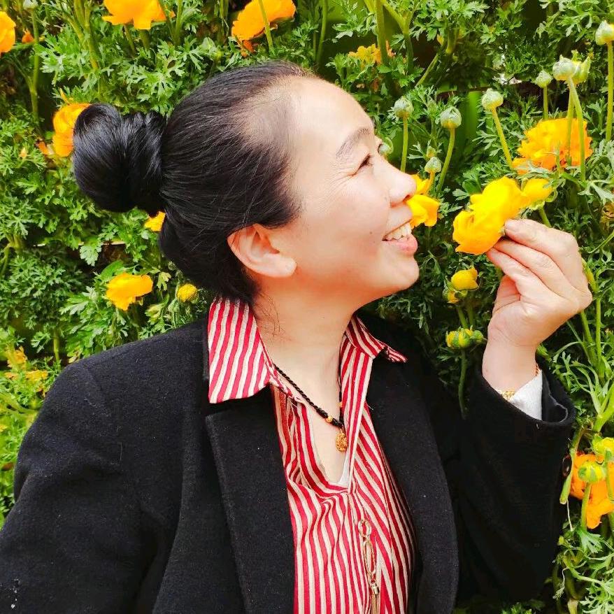 开心果下午六点开播
