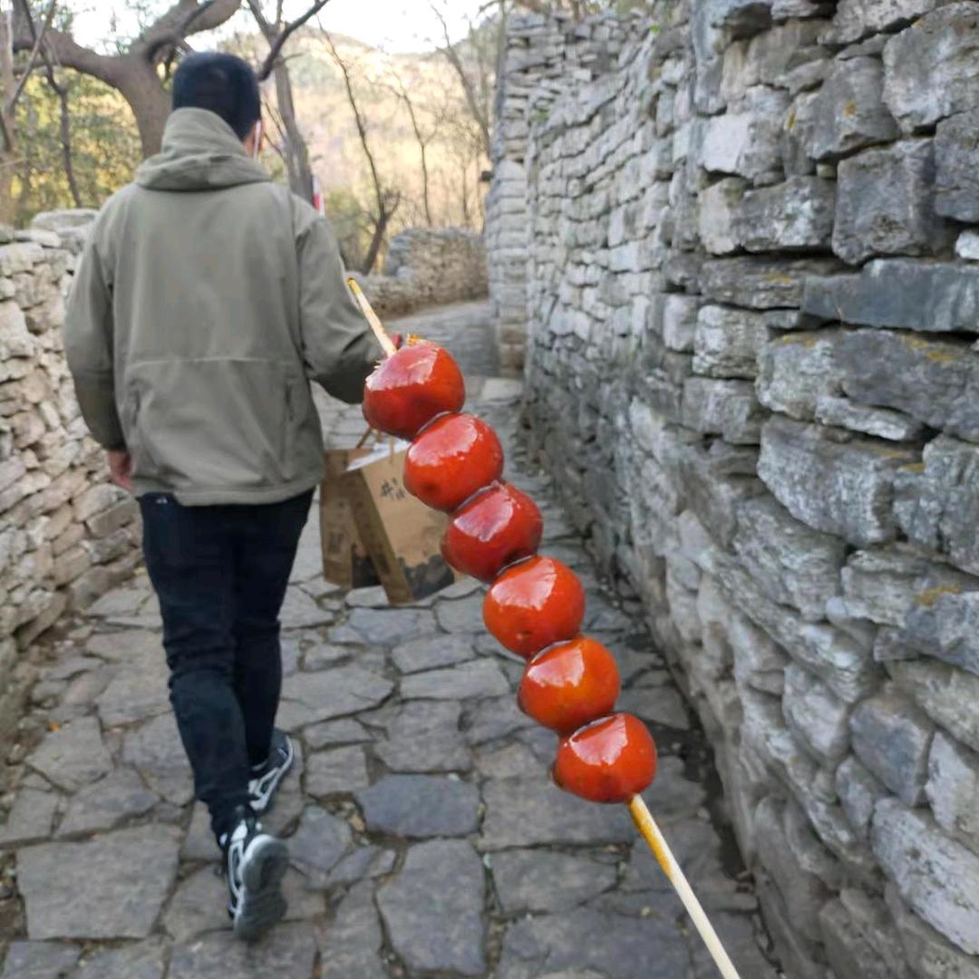 菩提无树
