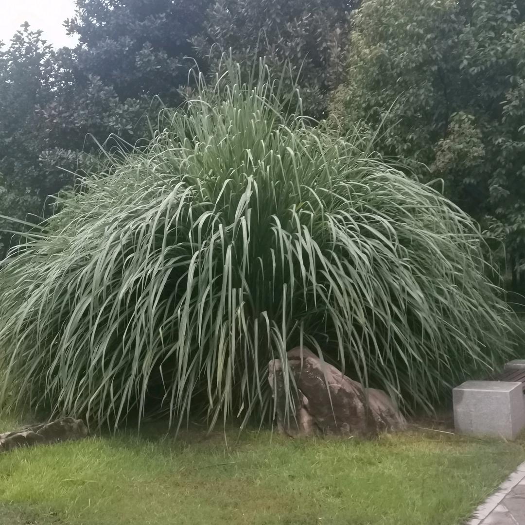 微风细雨