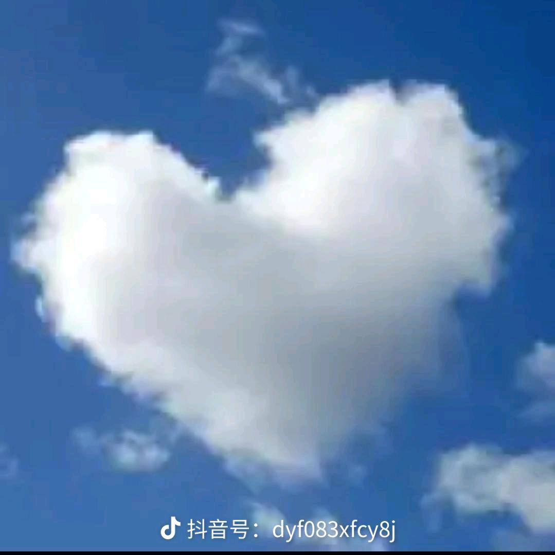 游泳的鱼