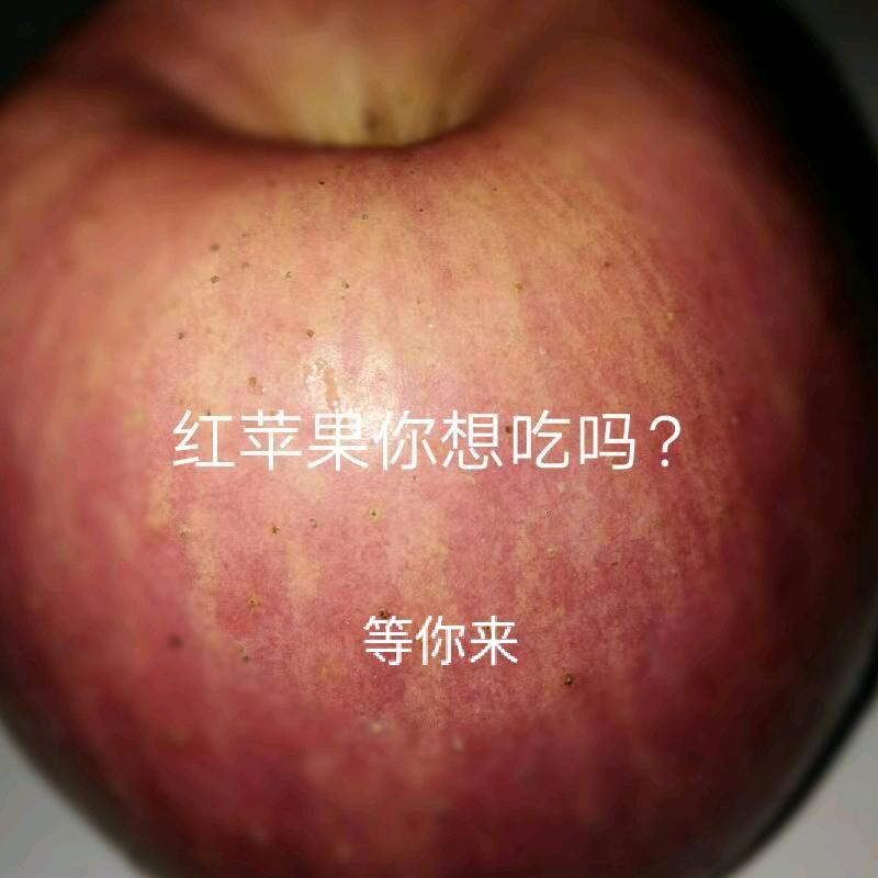 等你来