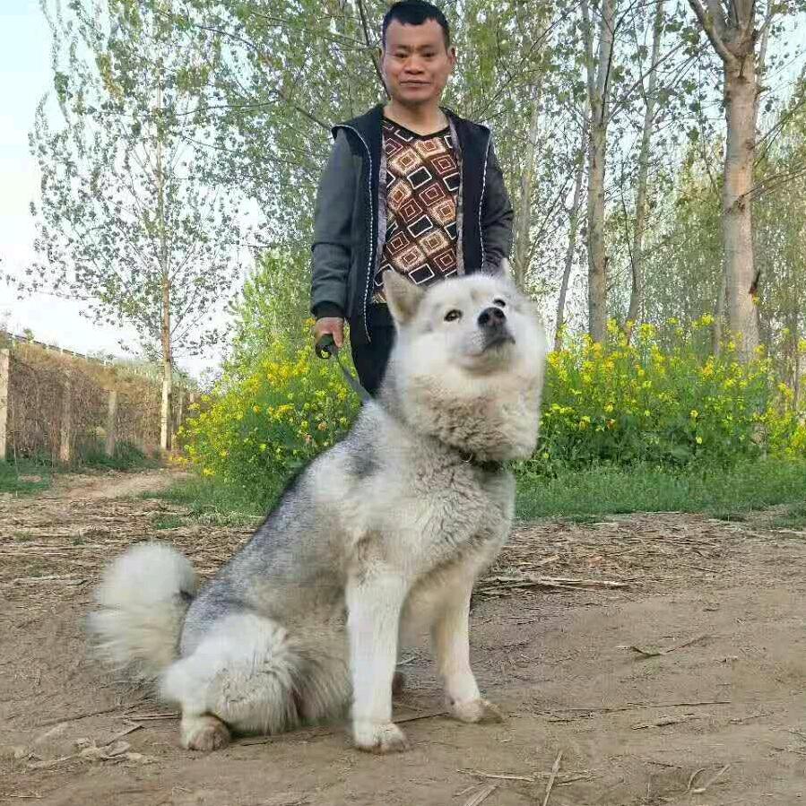 时陆
