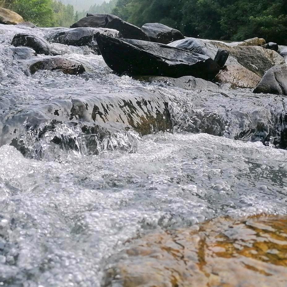 我是你眼里的刺