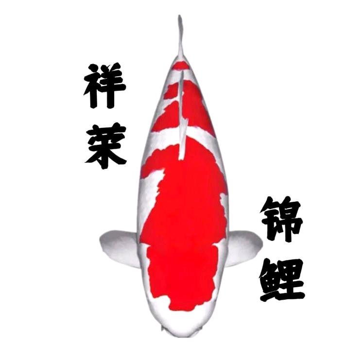祥荣锦鲤