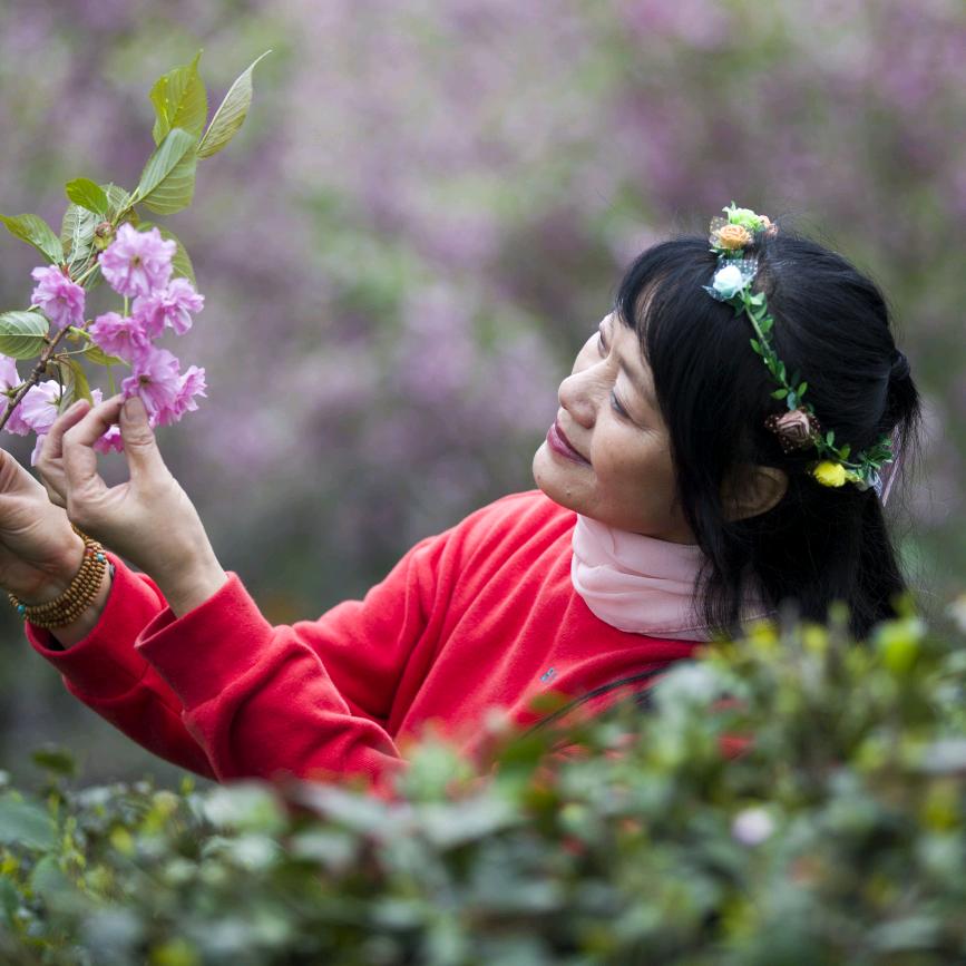 萍果💃🌸