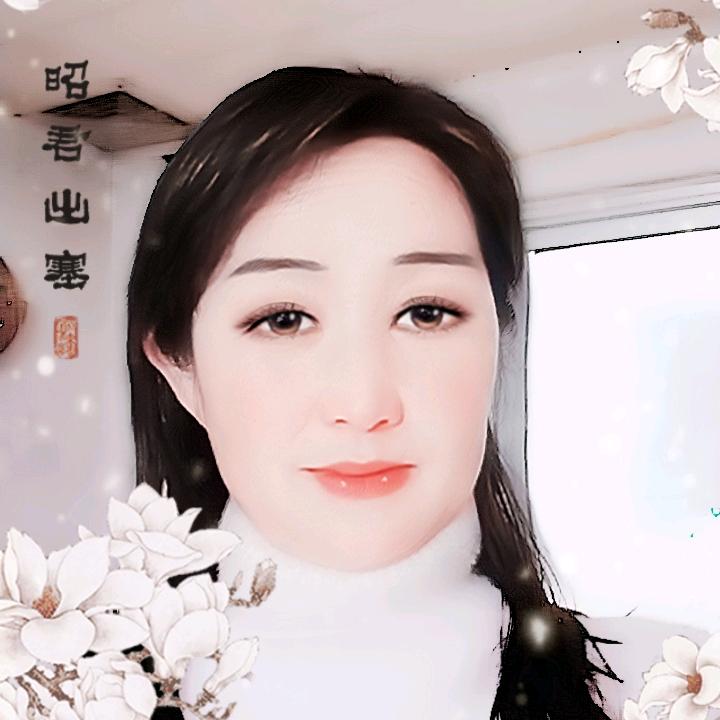 冰封记忆