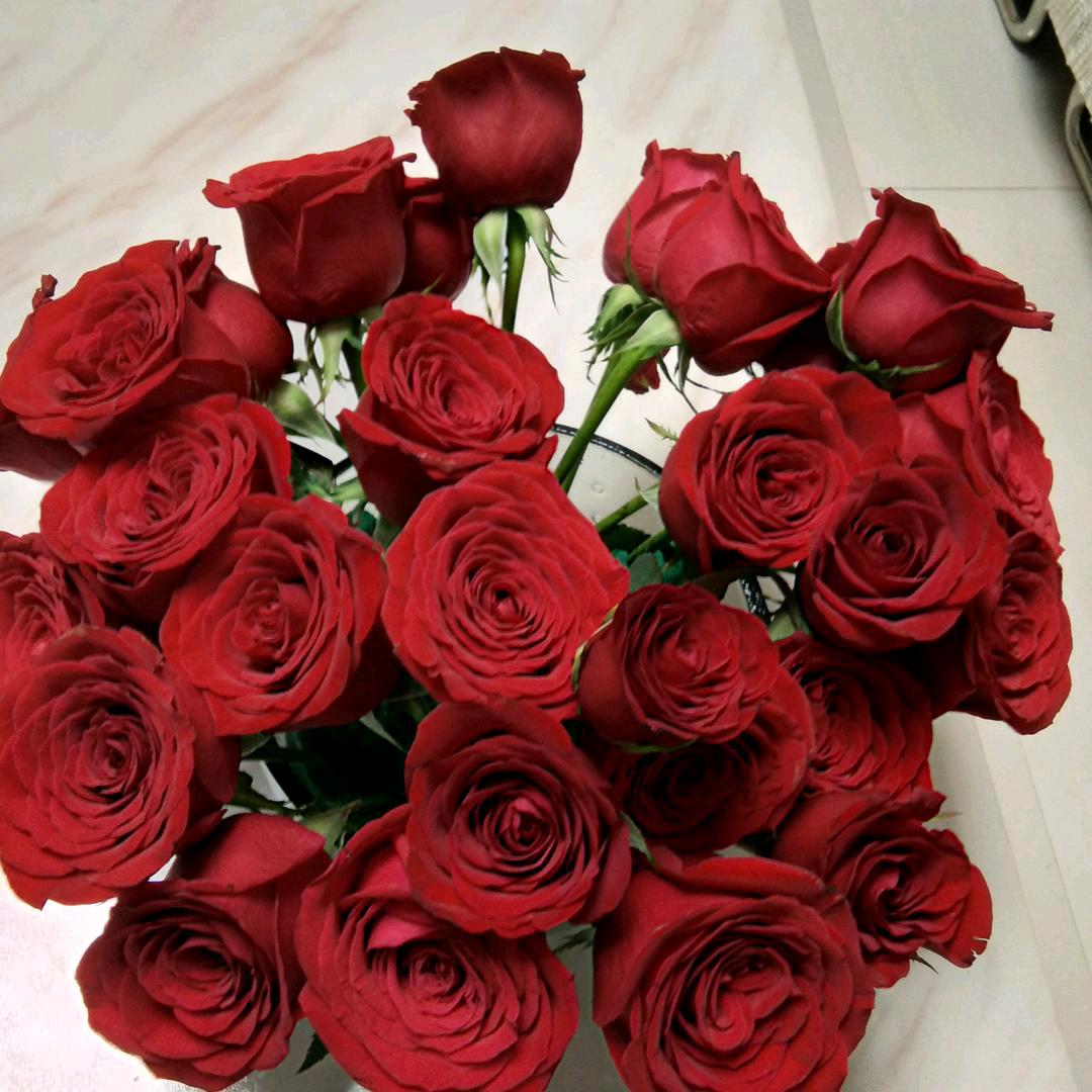 💐康乃馨如虎添翼💐余生🙏安康就好！