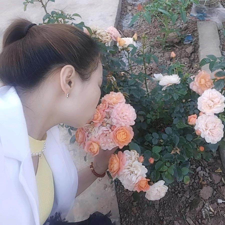 💎💎英香🐍《曾家五妺》