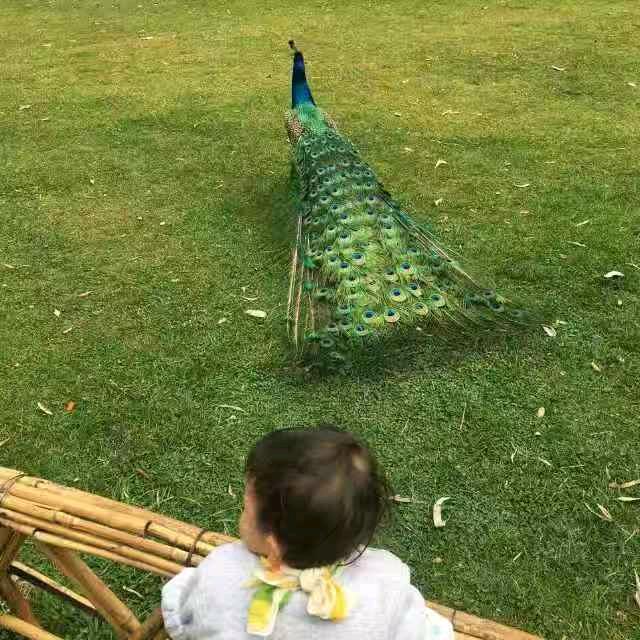 🌈 清
