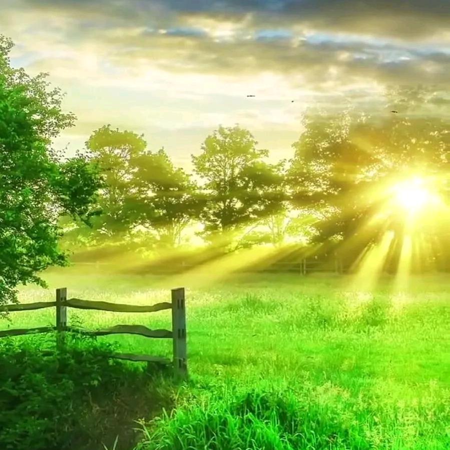 萝卜青菜各有所爱