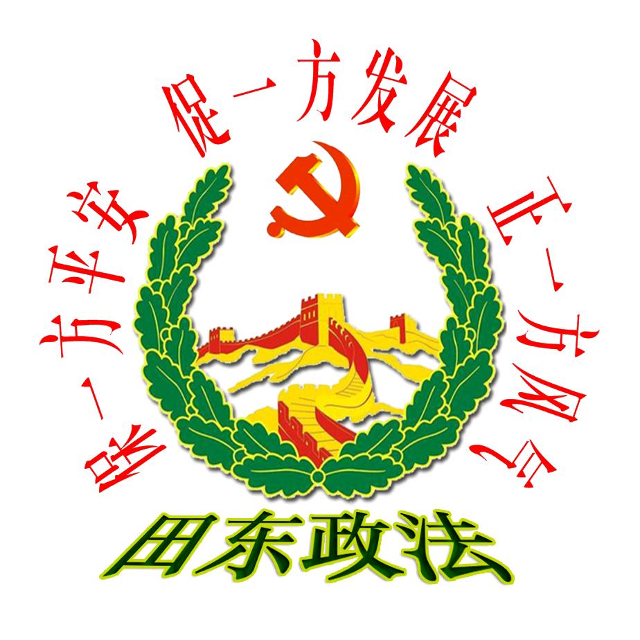 田东政法
