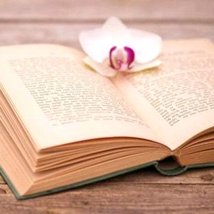 言書👧