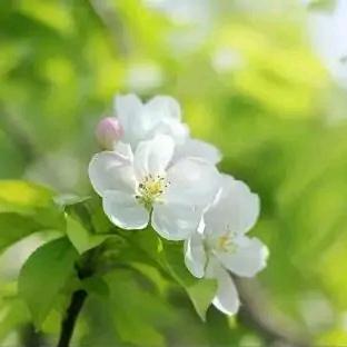 暖心向阳