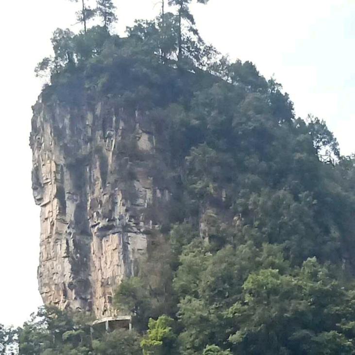 🎇随🎉意🎎而🎁安🎏