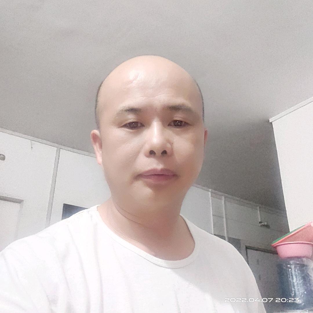 天龙八哥