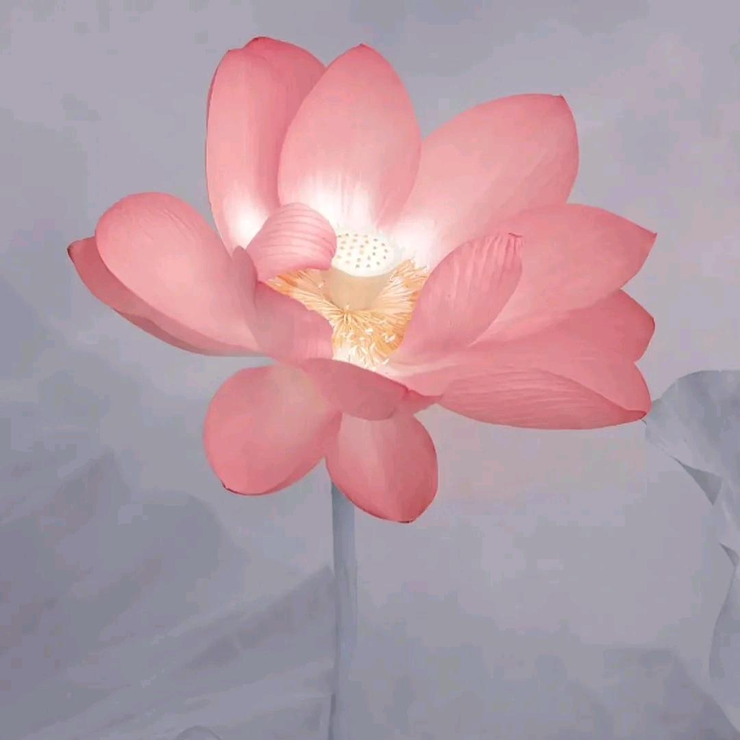 A随心