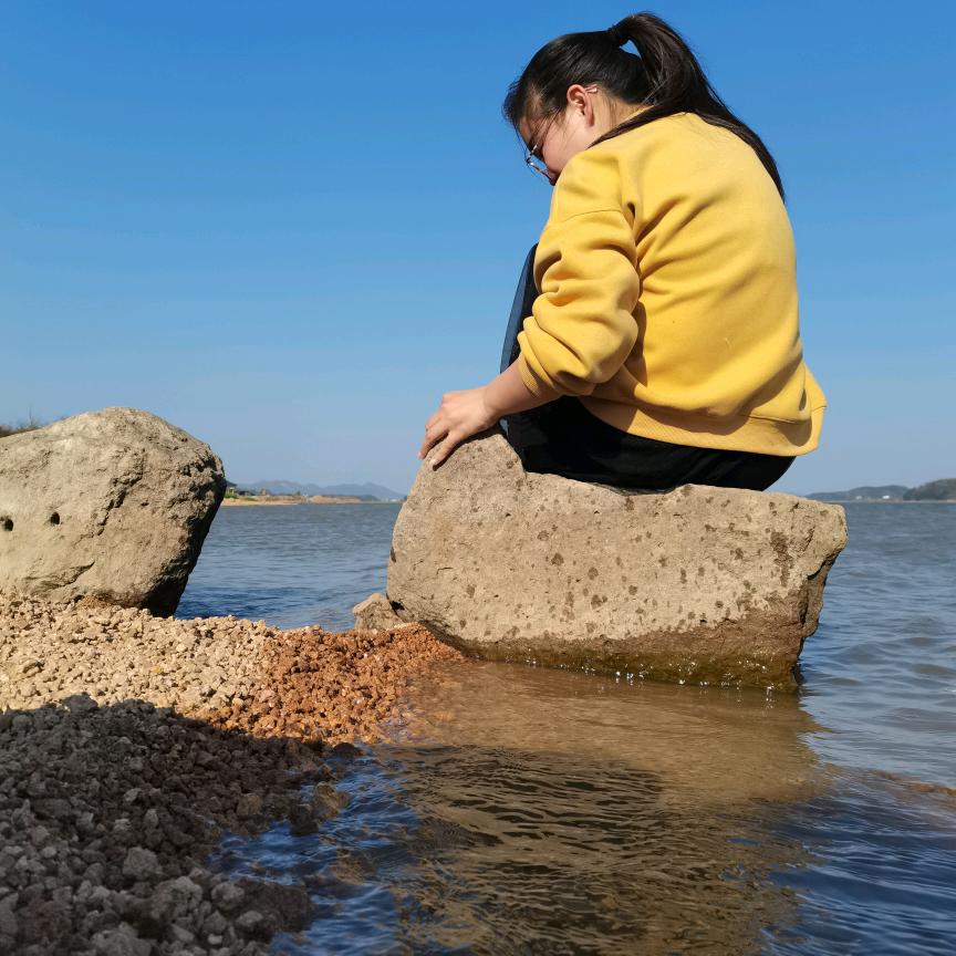 文竹