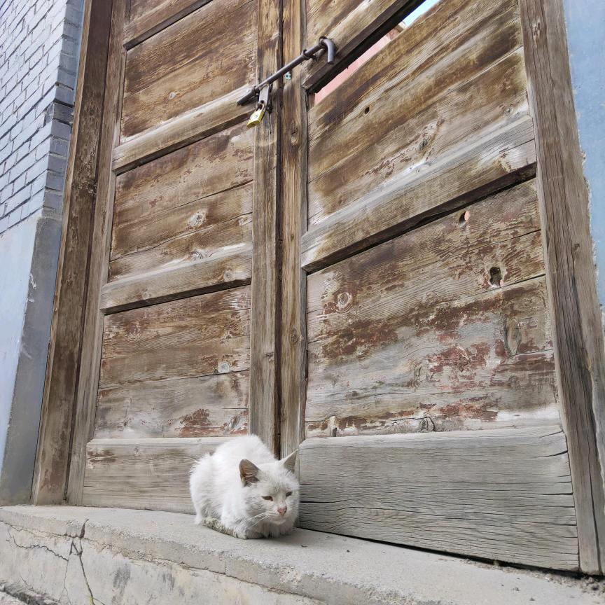 新手磨合-少儿教育