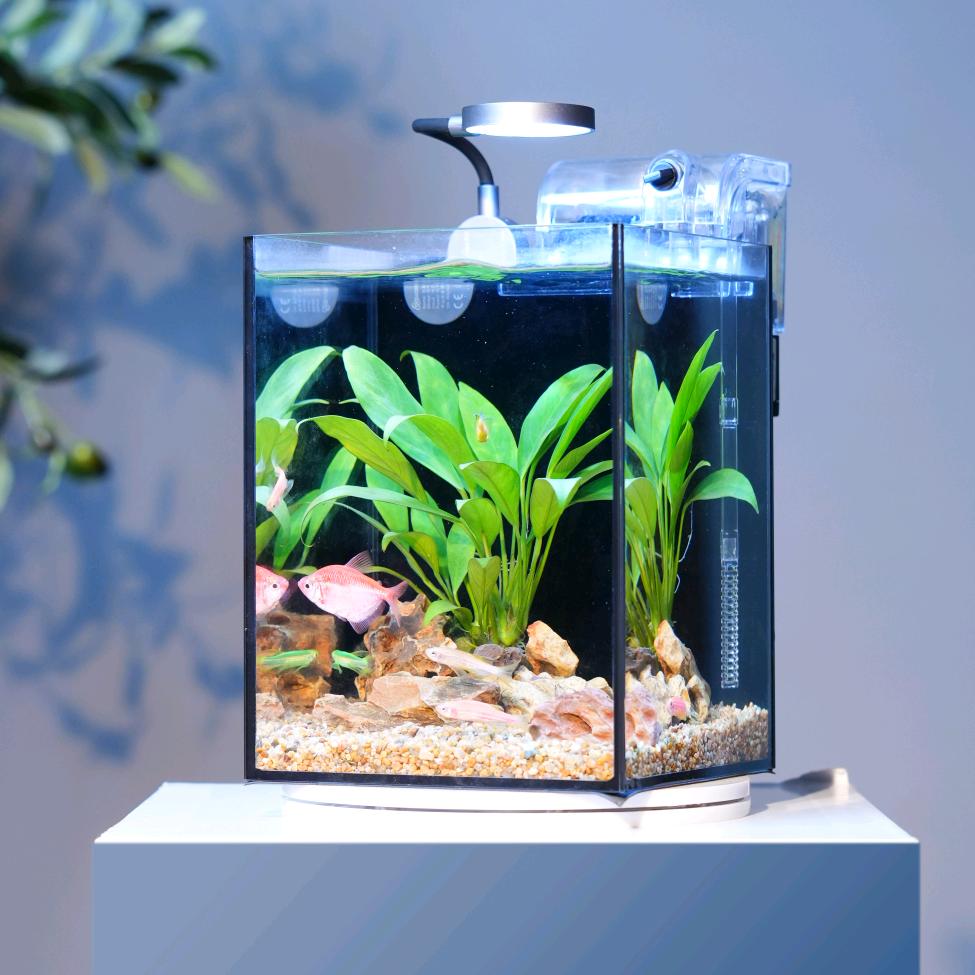 悠悠水世界