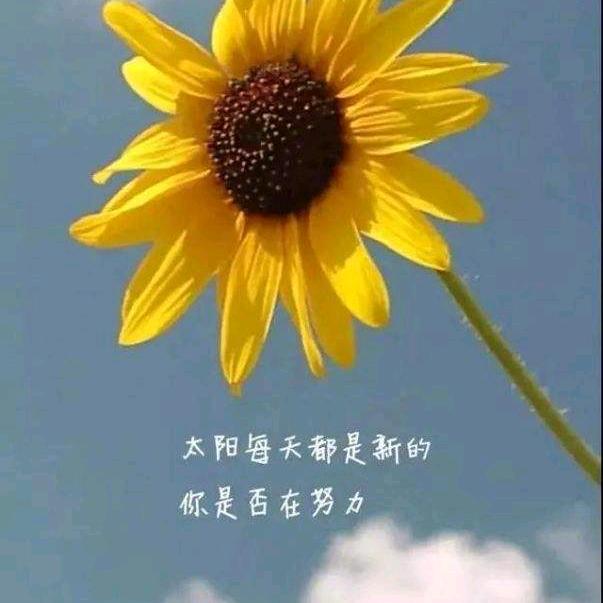 坚持初心🌈