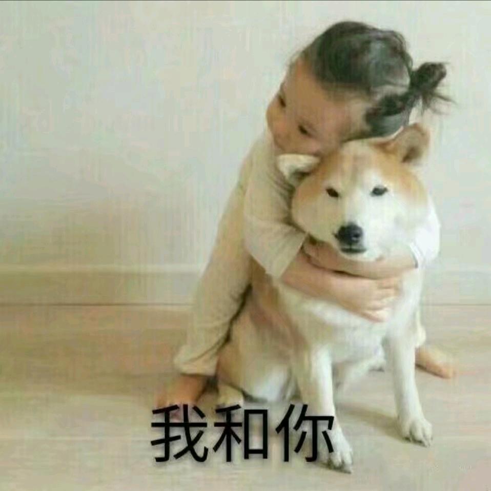 大冤种设计师